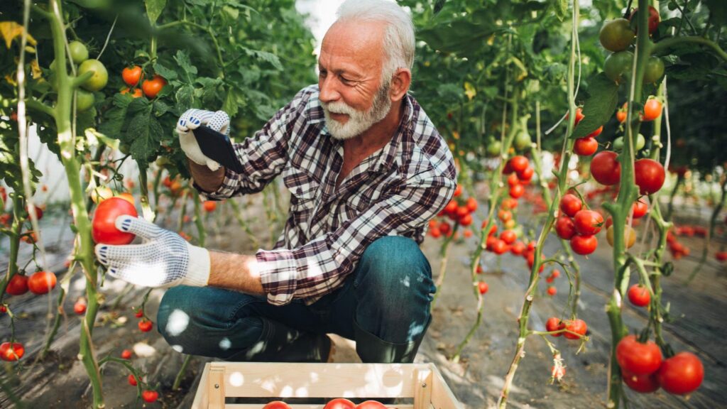 How food safety software solutions improve quality control